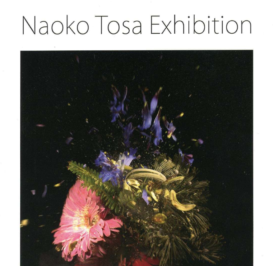 Naoko Tosa Exhibition