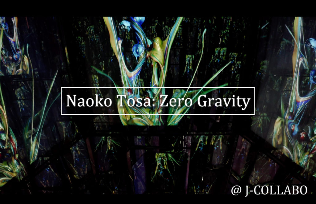 NAOKO TOSA: Zero Gravity